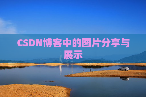 CSDN博客中的图片分享与展示